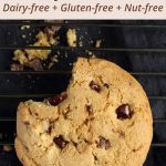 Chocolate Chip Cookies | Dairy-free + Gluten-free + Nut-free